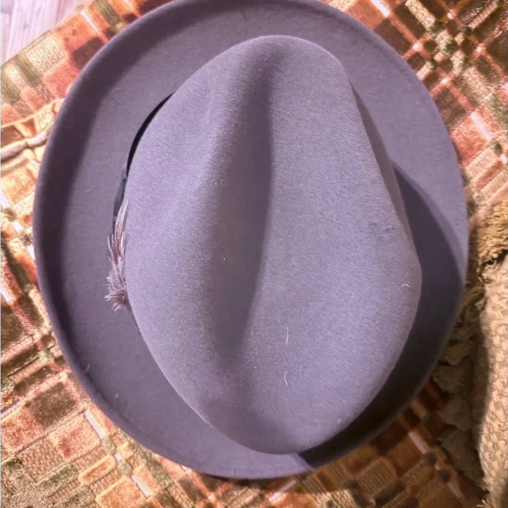 Stetson Gray Fedora with Elegant Lining - Picture 2 of 5